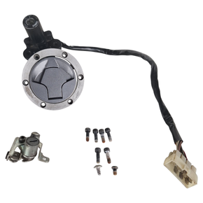 Parafusos Carenagem Pisca L.D Kawasaki Ninja 300 13-18 Original