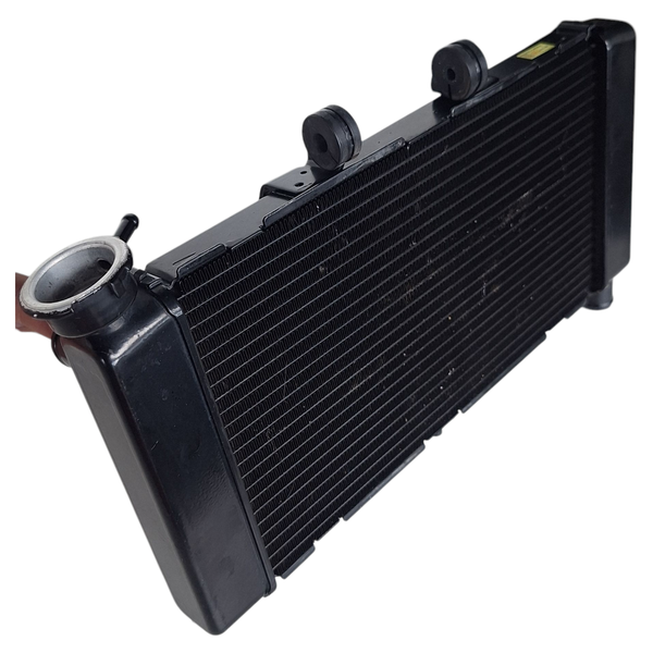 Radiador Honda Nc750x Nc 750 X Ano 16-22 Original