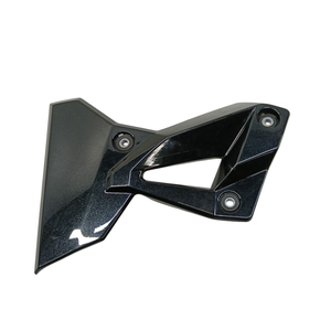 REI Reservatorio Radiador Kawasaki ZX 10R 2007